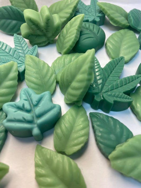 Wax Melt Bosque Fresco